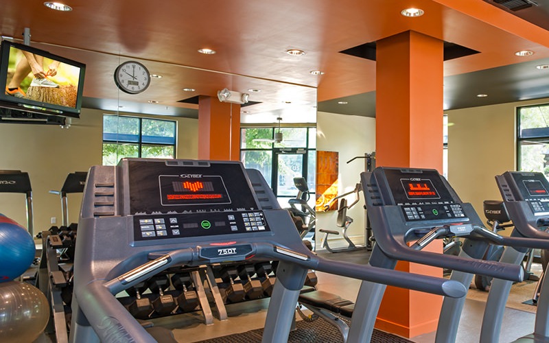 well equipped fitness room with many windows